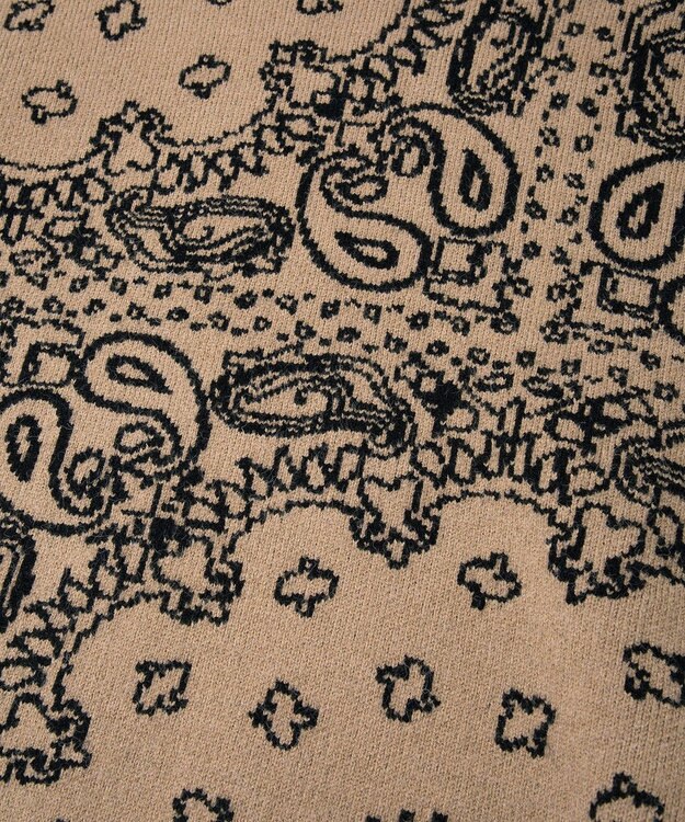 CRAFT STANDARD BOUTIQUE ペイズリー柄ニットプルオーバー Gray Beige