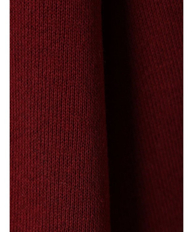 earth music&ecology ハーフジップロゴチュニック Burgundy