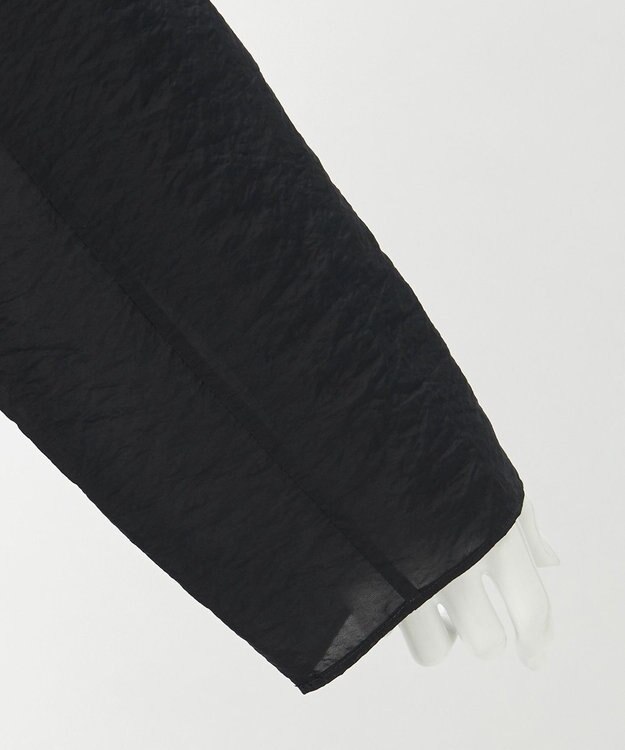 23区 【GOLD LABEL】オーガンジー ラッフルヘム ブラウス ブラック系