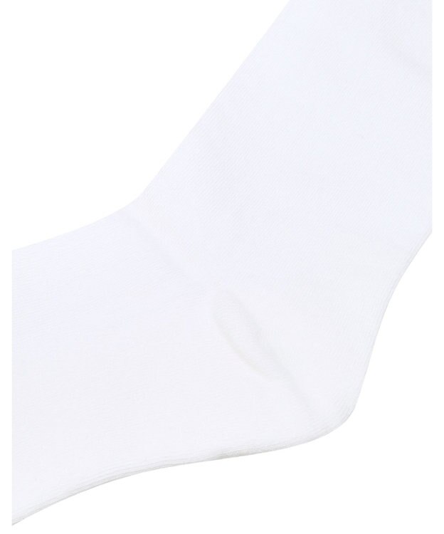 DAKS 【DAKS GOLF】ロゴメタルロングソックス ハウスチェック