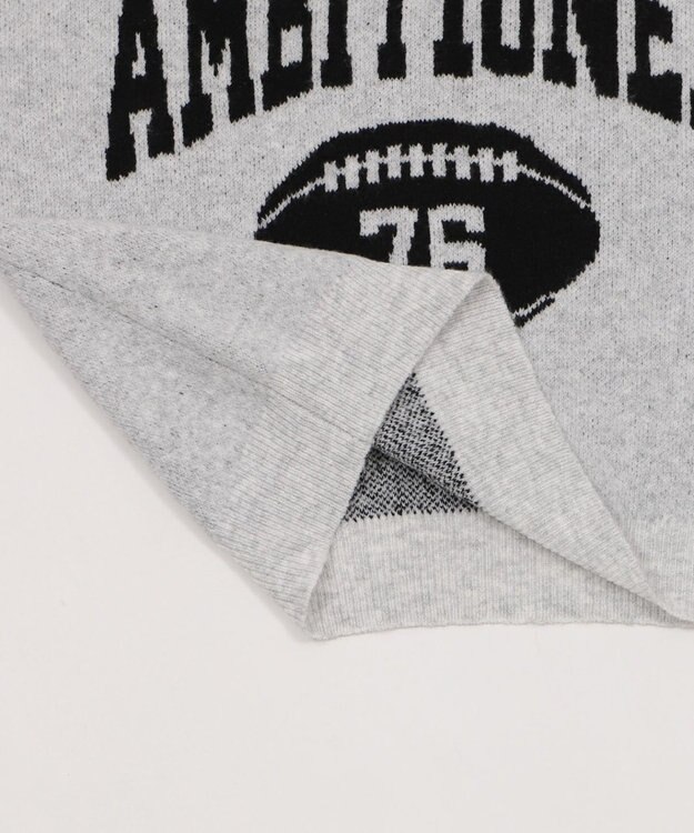 WEGO 【25年秋冬新作】フラッフィーVネックニットBIGプルオーバー アッシュグレー