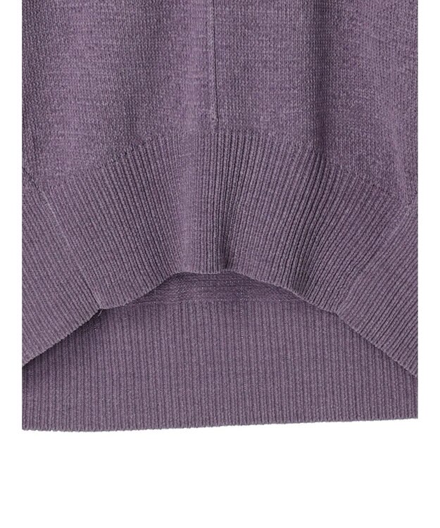 CRAFT STANDARD BOUTIQUE 洗えるコードモールＶネックプルオーバー Purple