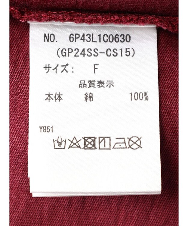 Green Parks ・Ｄｏｕｂｌｅ　Ｆｌａｇｓ　ピグメント加工ノースリＴＥＥ Bordeaux