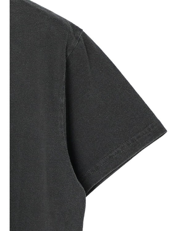 Green Parks ■ＪＵＲＡＳＳＩＣ　ＰＡＲＫ　コラージュｐｃＴ Black