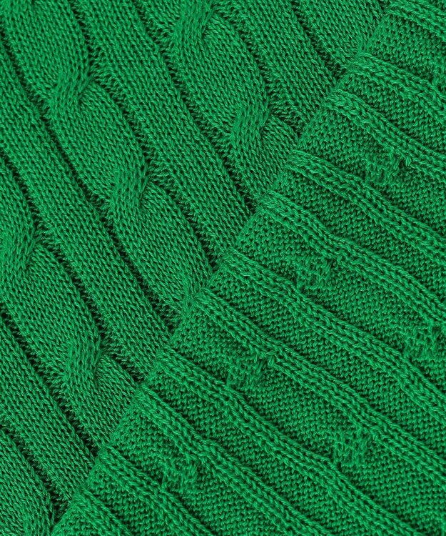 ANY 【POLO BCS別注】ケーブルニットポロ グリーン