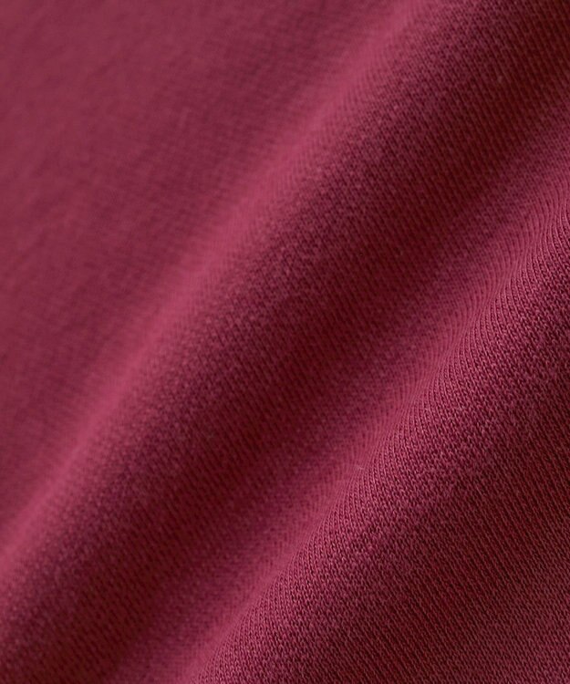 Green Parks ■PEANUTS ヘッドフォンスウェット Bordeaux