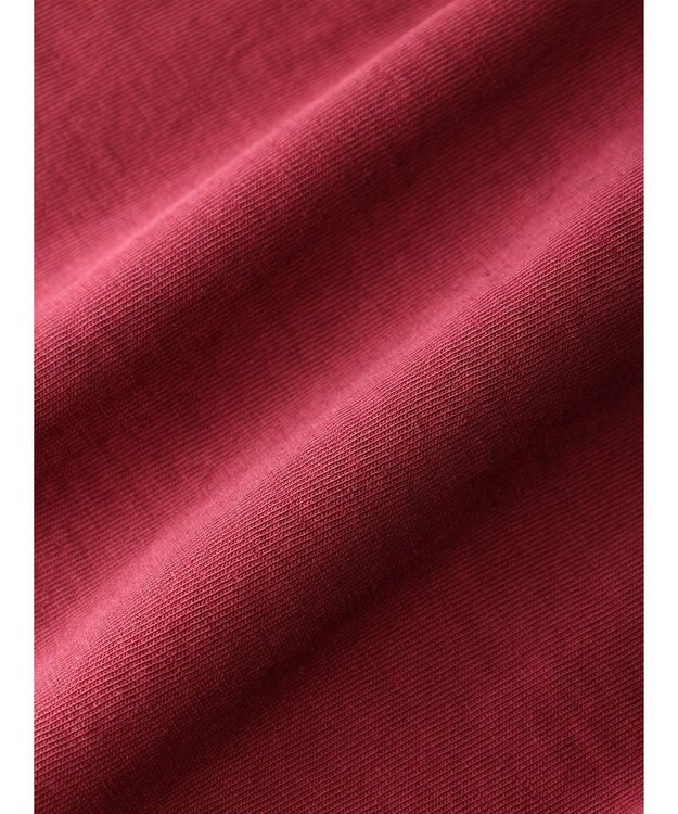 Green Parks ・Ｄｏｕｂｌｅ　Ｆｌａｇｓ　ピグメント加工ノースリＴＥＥ Bordeaux