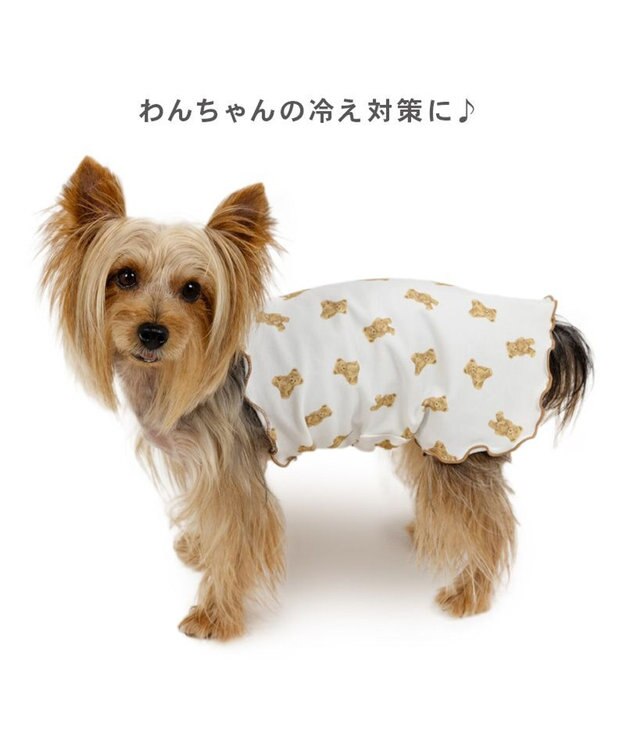 PET PARADISE ペットパラダイス くまちゃん ペティヒート  腹巻 小型犬 オフホワイト