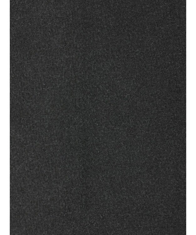 Green Parks ■ＪＵＲＡＳＳＩＣ　ＰＡＲＫ　コラージュｐｃＴ Black