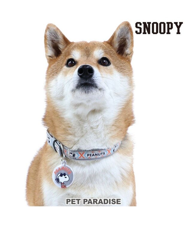 PET PARADISE スヌーピージョークール 反射 お揃い首輪 【ＳＭ】 青