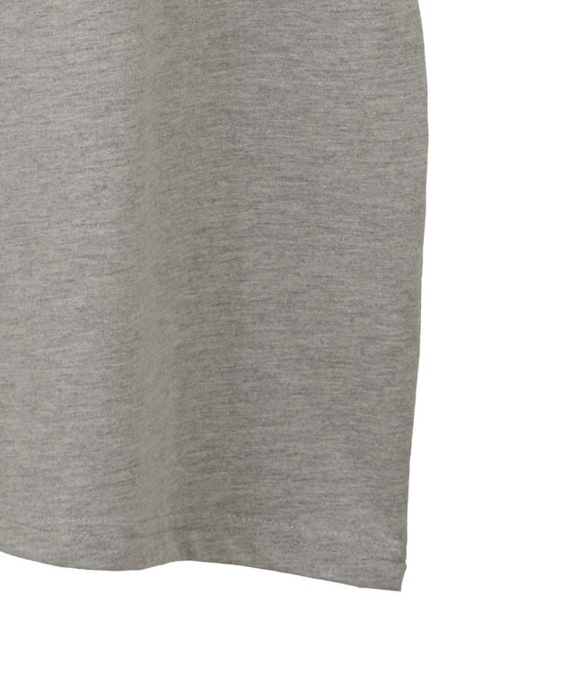 Green Parks ・ＤＯＵＢＬＥ　ＦＬＡＧＳ　フォトプリントＴＥＥ Gray Mixture