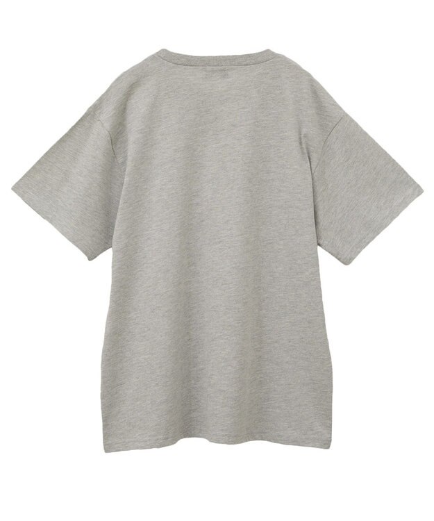 Green Parks ・ＤＯＵＢＬＥ　ＦＬＡＧＳ　フォトプリントＴＥＥ Gray Mixture