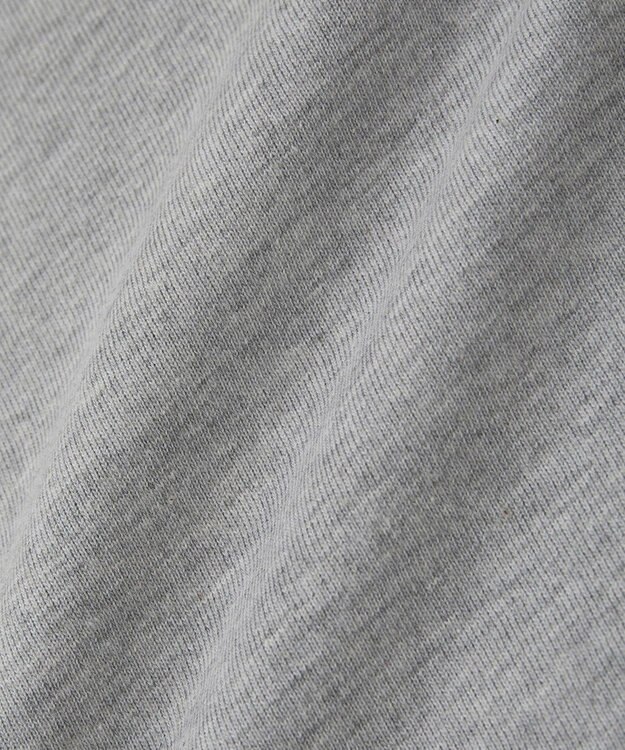 Green Parks ・ＤＯＵＢＬＥ　ＦＬＡＧＳ　フォトプリントＴＥＥ Gray Mixture