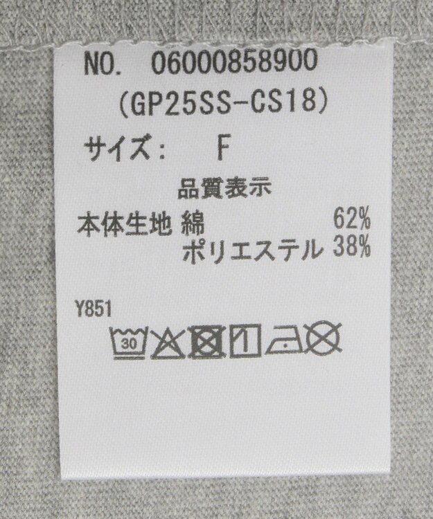 Green Parks ・ＤＯＵＢＬＥ　ＦＬＡＧＳ　フォトプリントＴＥＥ Gray Mixture