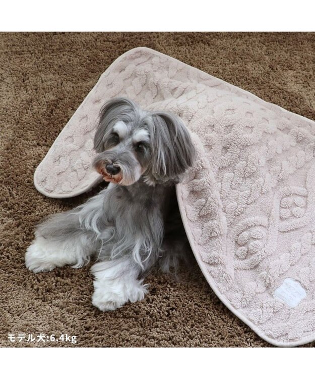 PET PARADISE ペットパラダイス ブランケット 《アラン柄》 90cm×60cm アラン柄