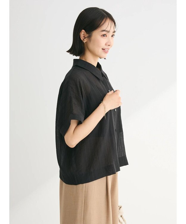 Green Parks シアーストライプショート丈シャツ Black