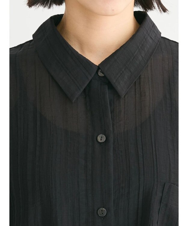 Green Parks シアーストライプショート丈シャツ Black