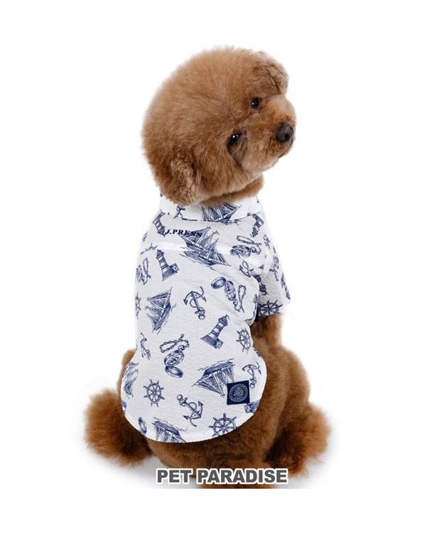 PET PARADISE J.PRESS マリンシャツ  《 ホワイト》 小型犬 ホワイト×ネイビー