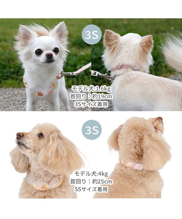 PET PARADISE ペットパラダイス １８℃ クールリング Ｓ 《アイス柄》 ピンク