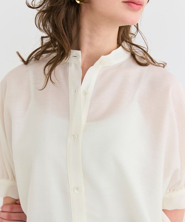 BEIGE， 【洗える】AMARYLLIS / シアーパフオーバーサイズブラウス Ecru