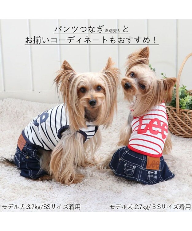 PET PARADISE 犬の服 犬 Lee スカート つなぎ 【小型犬】 リブ ボーダー 赤