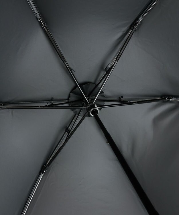 AURORA 【WEB限定】 晴雨兼用傘（折りたたみ・大寸クイックオープン） グリーン