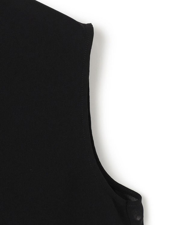 BEIGE， 【洗える】FLEUR / バックシアーノーカラーブラウス Black