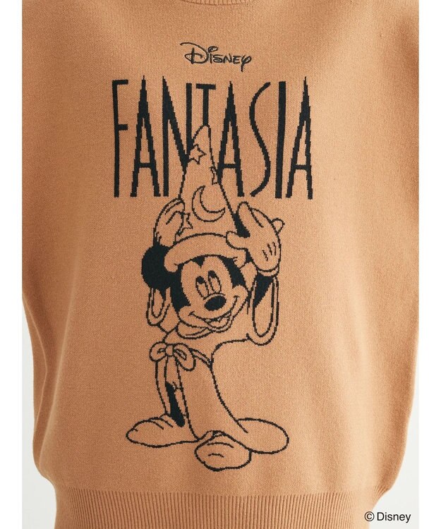 Green Parks ＦＡＮＴＡＳＩＡ／ジャガードニットプルオーバー Brown