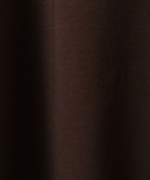 AMERICAN HOLIC 袖ボリュームポンチプルオーバー Brown