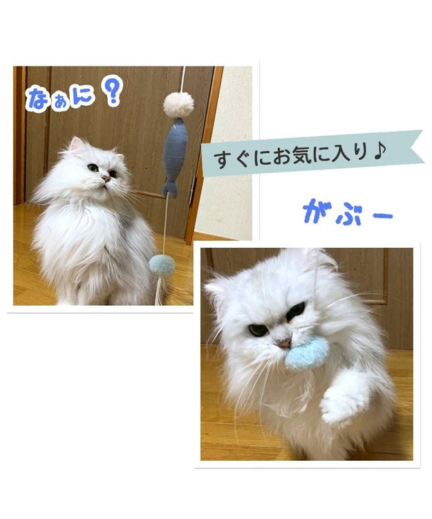 PET PARADISE 猫 おもちゃ 猫じゃらし 魚 トイ 魚