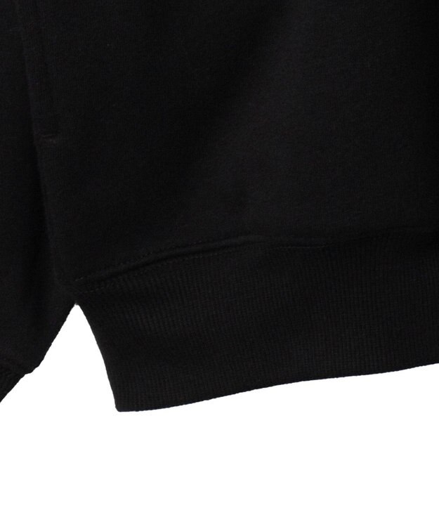 WEGO サークルロゴハーフジッププルオーバー ブラック