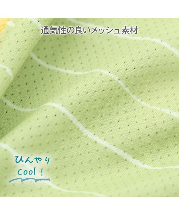 PET PARADISE ペットパラダイス 恐竜 ボーダーエコメイド タンクトップ 小型犬 グリーン