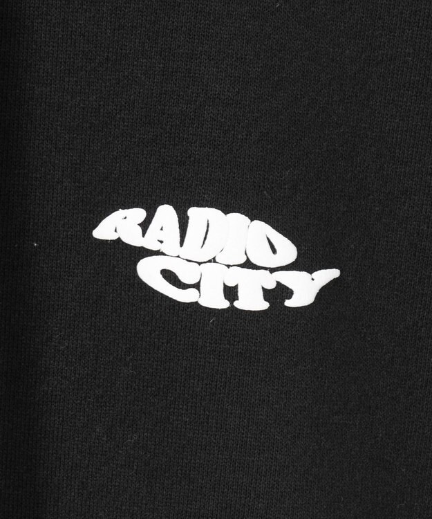 WEGO 【ユニセックス着用ITEM/MLサイズ展開】ノースリジップパーカー ブラック