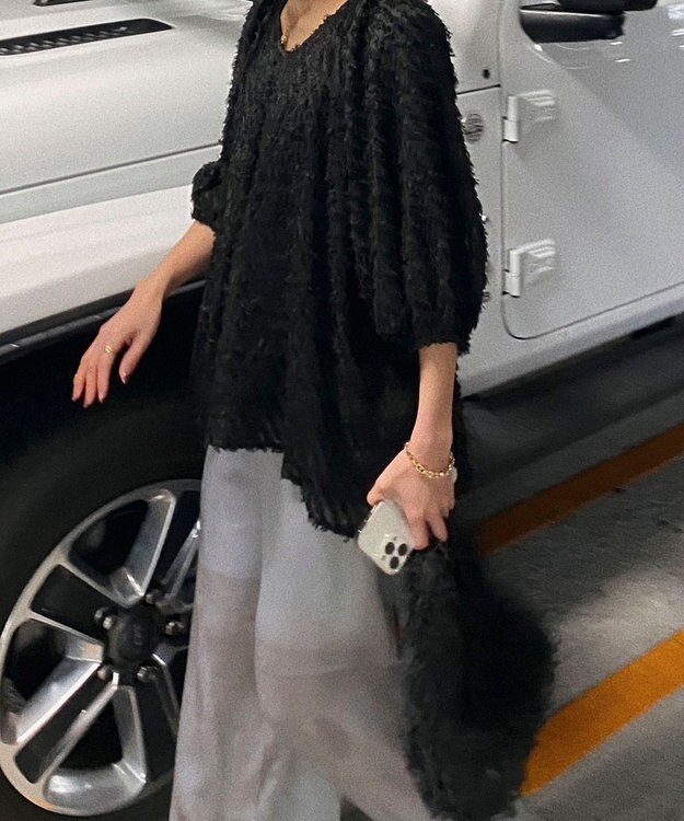 Green Parks AnriettMusee カットジャガードタックブラウス Black