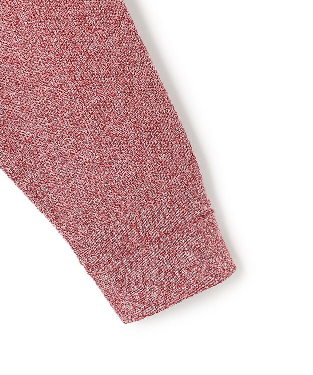 J.PRESS MEN 【KING SIZE】ギマコットンカノコクルーネック ニット レッド系