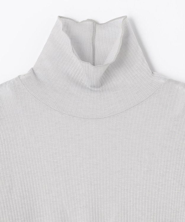 ANY L ウール混リブタートルネックカットソー グレー