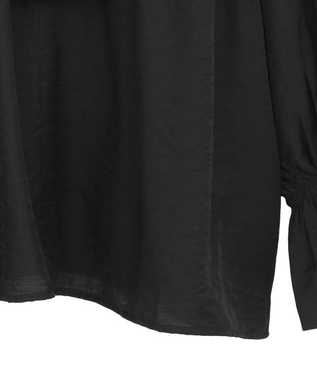 Green Parks ビッグカラーフリルブラウス Black