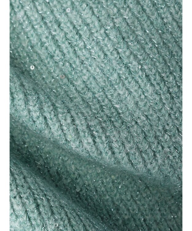 Green Parks ・Ｐｅｔｉｔ　Ｆｌｅｕｒ　ラメ＆スパンコールニット Green