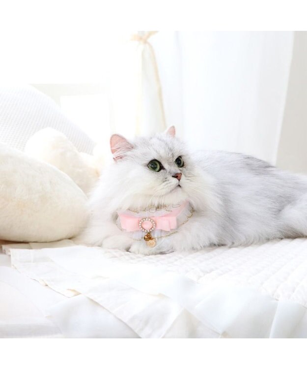 ディズニー マリー 猫 フリル 首輪 《小 / 中》 / PET PARADISE