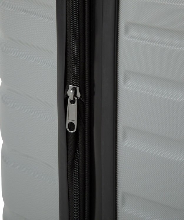 ACE BAGS & LUGGAGE ACE オーバル2 スーツケース 機内持ち込み 拡張機能 36L/43L 05911 エース グレー