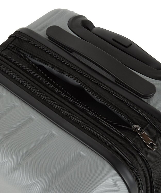 ACE BAGS & LUGGAGE ACE オーバル2 スーツケース 機内持ち込み 拡張機能 36L/43L 05911 エース グレー