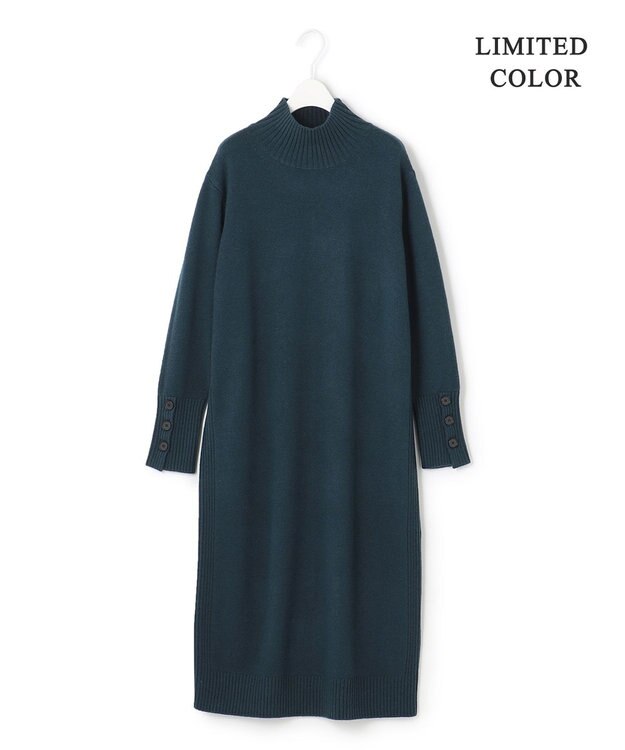 ICB L 【WEB限定カラーあり】 ソフトカシミヤミックス ハイネックワンピース パイングリーン系［WEB限定］