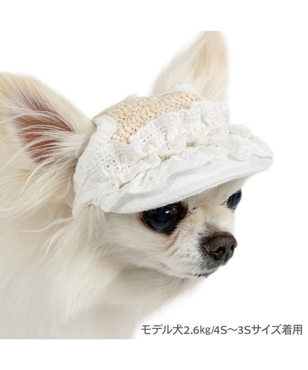 PET PARADISE ペットパラダイス フリル キャップ ４Ｓ～３Ｓ/ＳＳ～Ｓ ホワイト×ベージュ