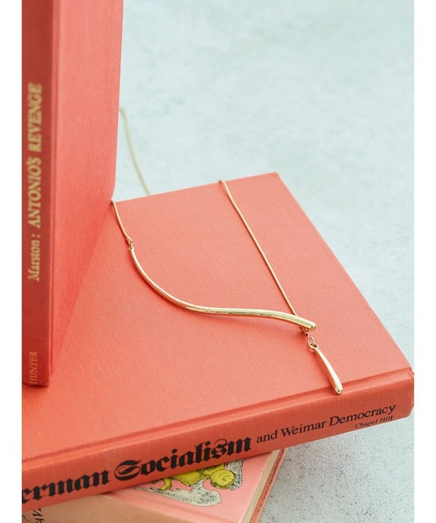 AMERICAN HOLIC ハーフラインスライドネックレス Gold