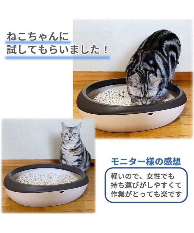 PET PARADISE 猫用 トイレ砂 ピュアサンド 7L -