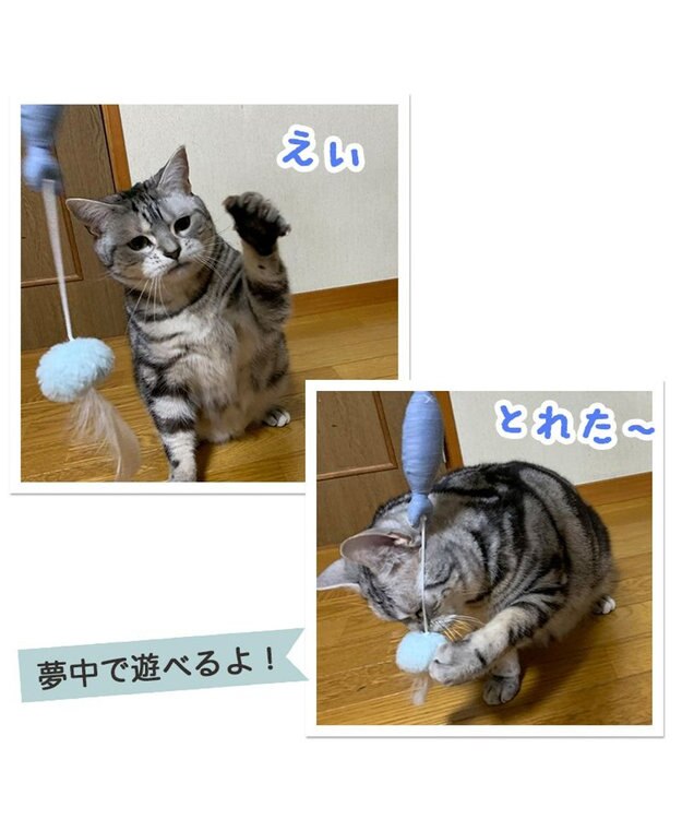 PET PARADISE 猫 おもちゃ 猫じゃらし 魚 トイ 魚
