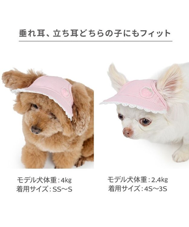 PET PARADISE ペットパラダイス 苺 帽子 ４Ｓ～３Ｓ/ＳＳ～Ｓ ピンク