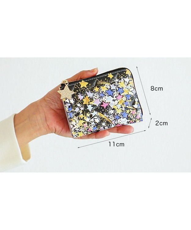 tsumori chisato CARRY ギャラクシーパネル マルチケース キャッシュレススタイル　【パスケースやミニ財布としても♪】 ブラック