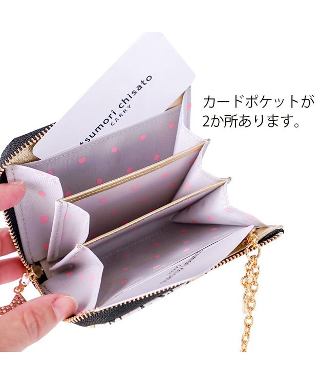 tsumori chisato CARRY ギャラクシーパネル マルチケース キャッシュレススタイル　【パスケースやミニ財布としても♪】 ブラック