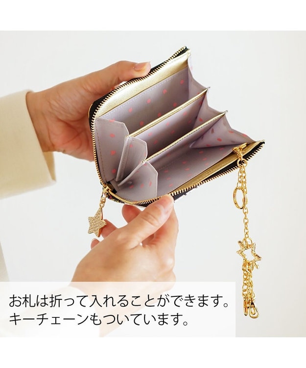 tsumori chisato CARRY ギャラクシーパネル マルチケース キャッシュレススタイル　【パスケースやミニ財布としても♪】 ブラック